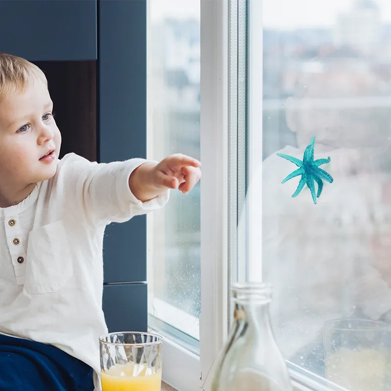 Fensterkrabbler Seestern