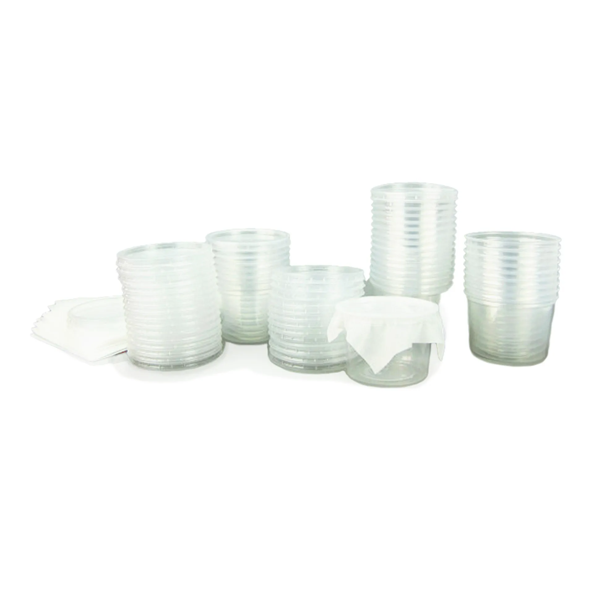 Hagemann Klassenprojektset Schmetterlinge (30-35 Raupen)