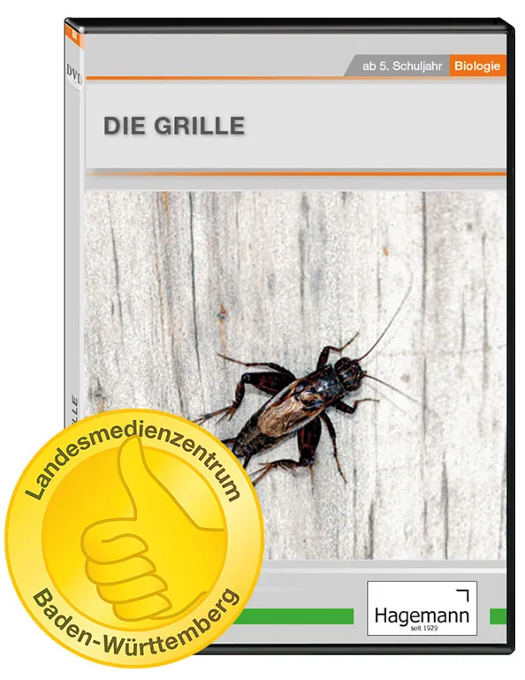 DVD-Lehrfilm "Die Grille"