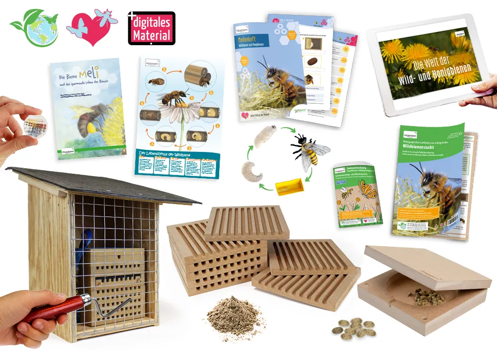 Hagemann Gruppenprojektset Wildbienen, Rote Mauerbiene