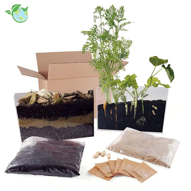 Wurzel- und Regenwurm-Beobachtungs-Set (2 Stück)