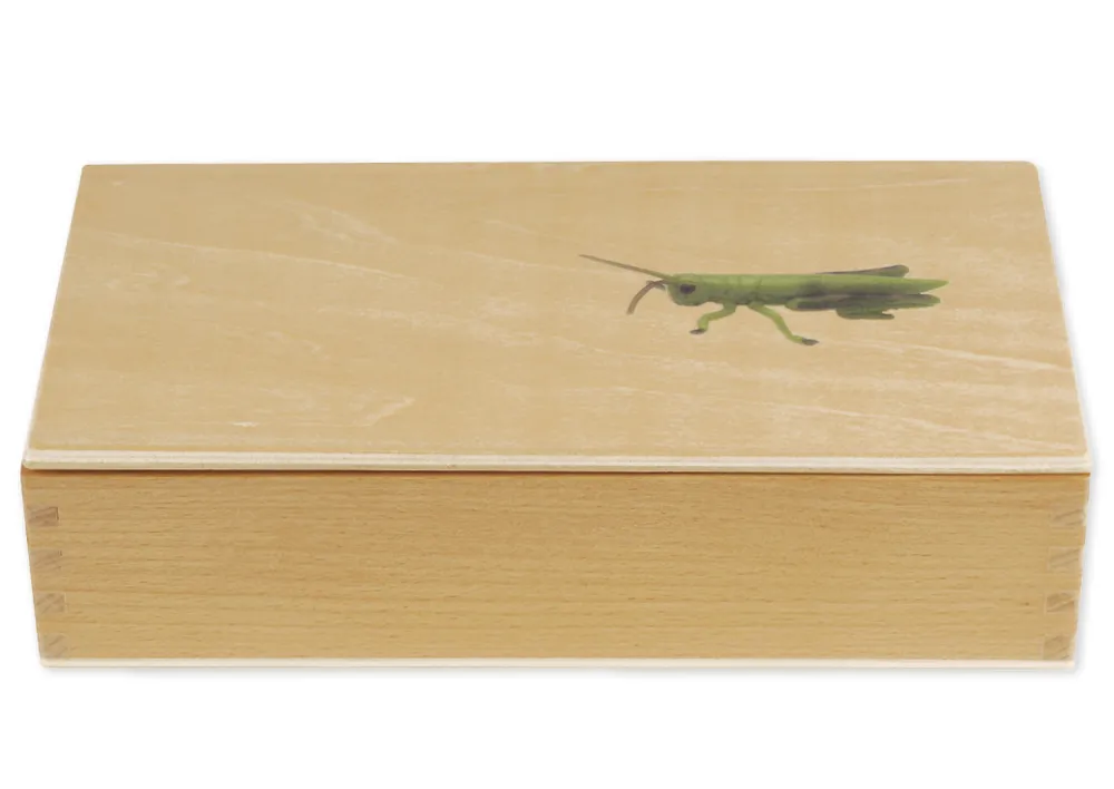 TimeTEX Lebenszyklus einer Heuschrecke, in Holzbox "Montessori Premium"