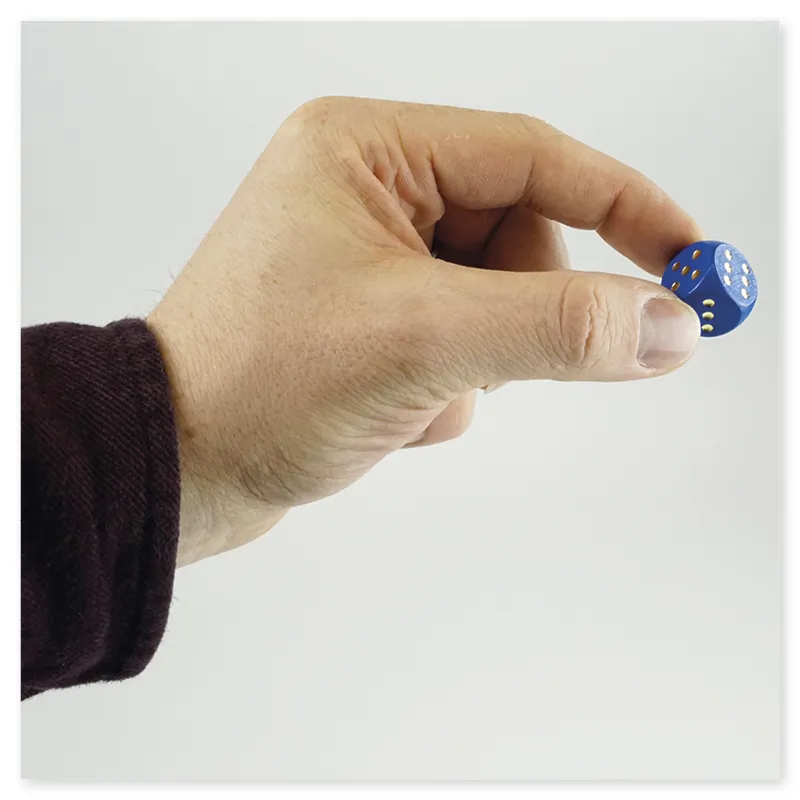 Set Würfel aus Holz in Montessori-Farben, 16 x 16 mm, 12 Stück im Etui "Montessori Premium"