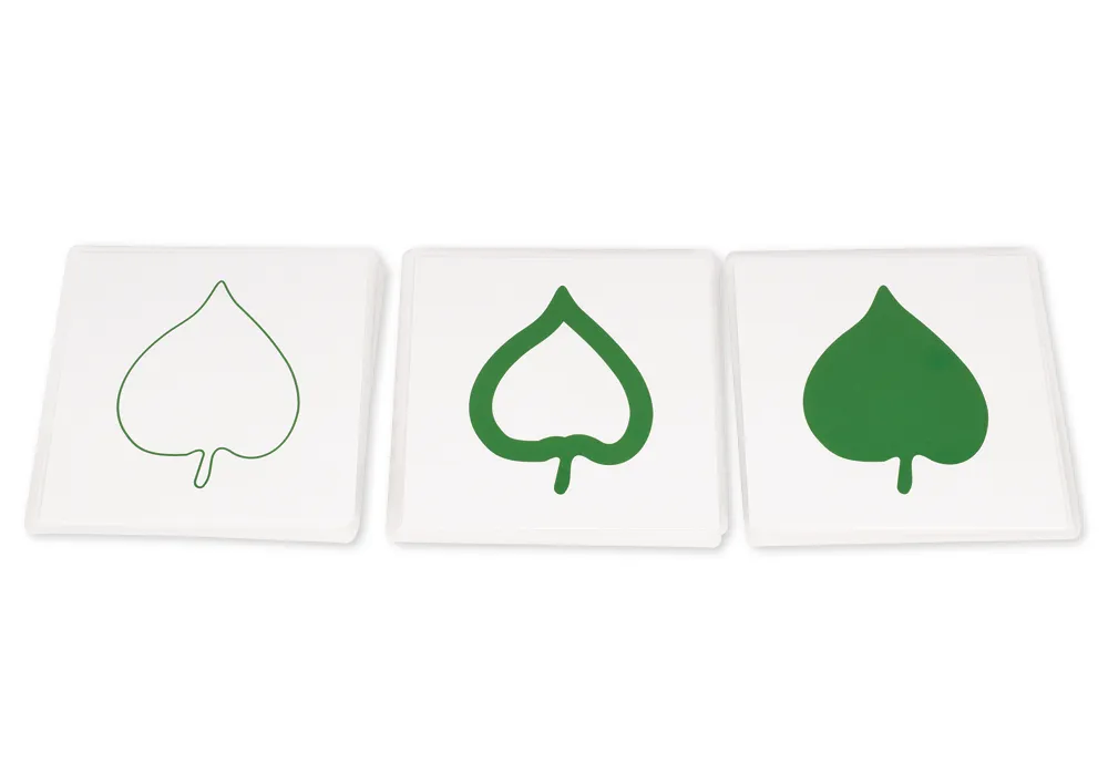 TimeTEX Botanischer Kartensatz "Montessori Premium"