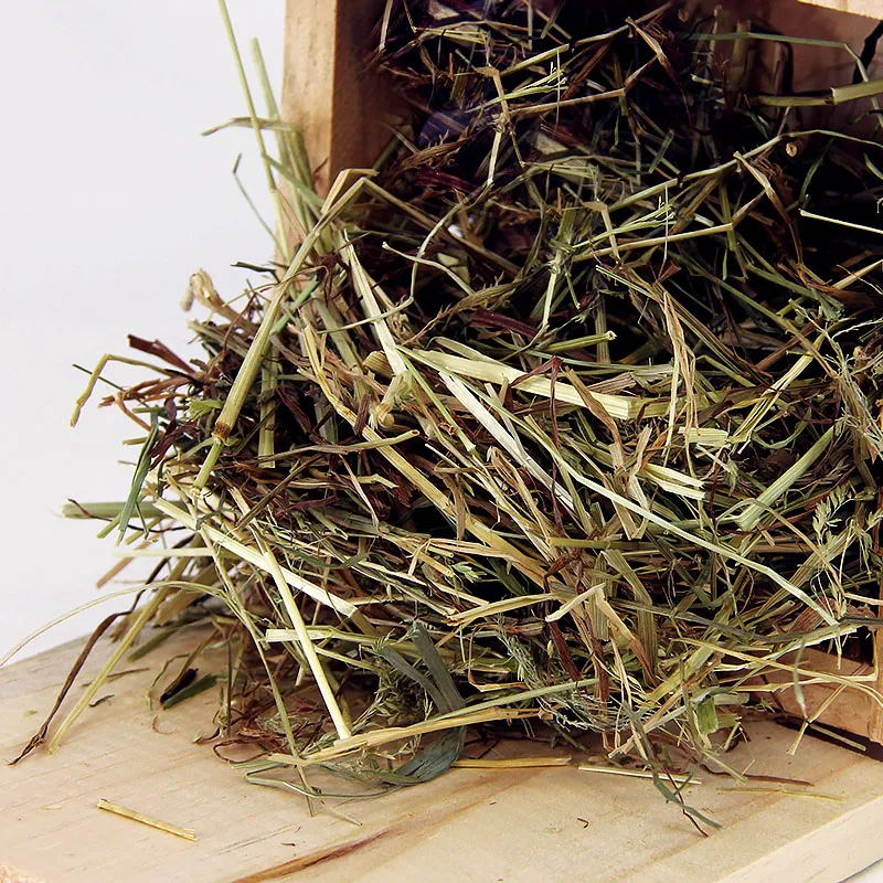 Hagemann Marienkäferhotel