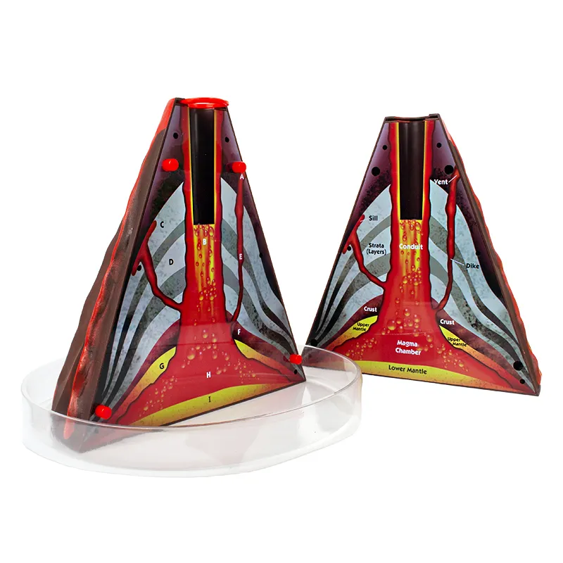 Vulkan-Modell mit Querschnitt