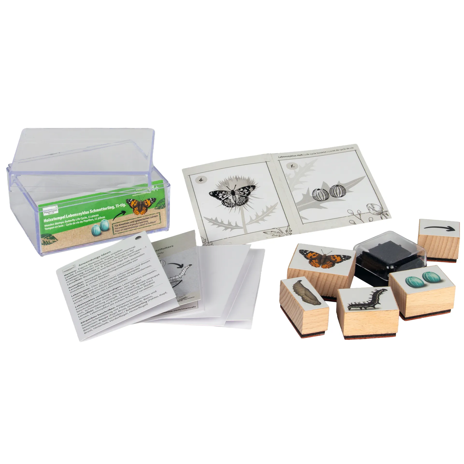 Hagemann Holzstempel Lebenszyklus Schmetterling mit Stempelkissen, 11-tlg.