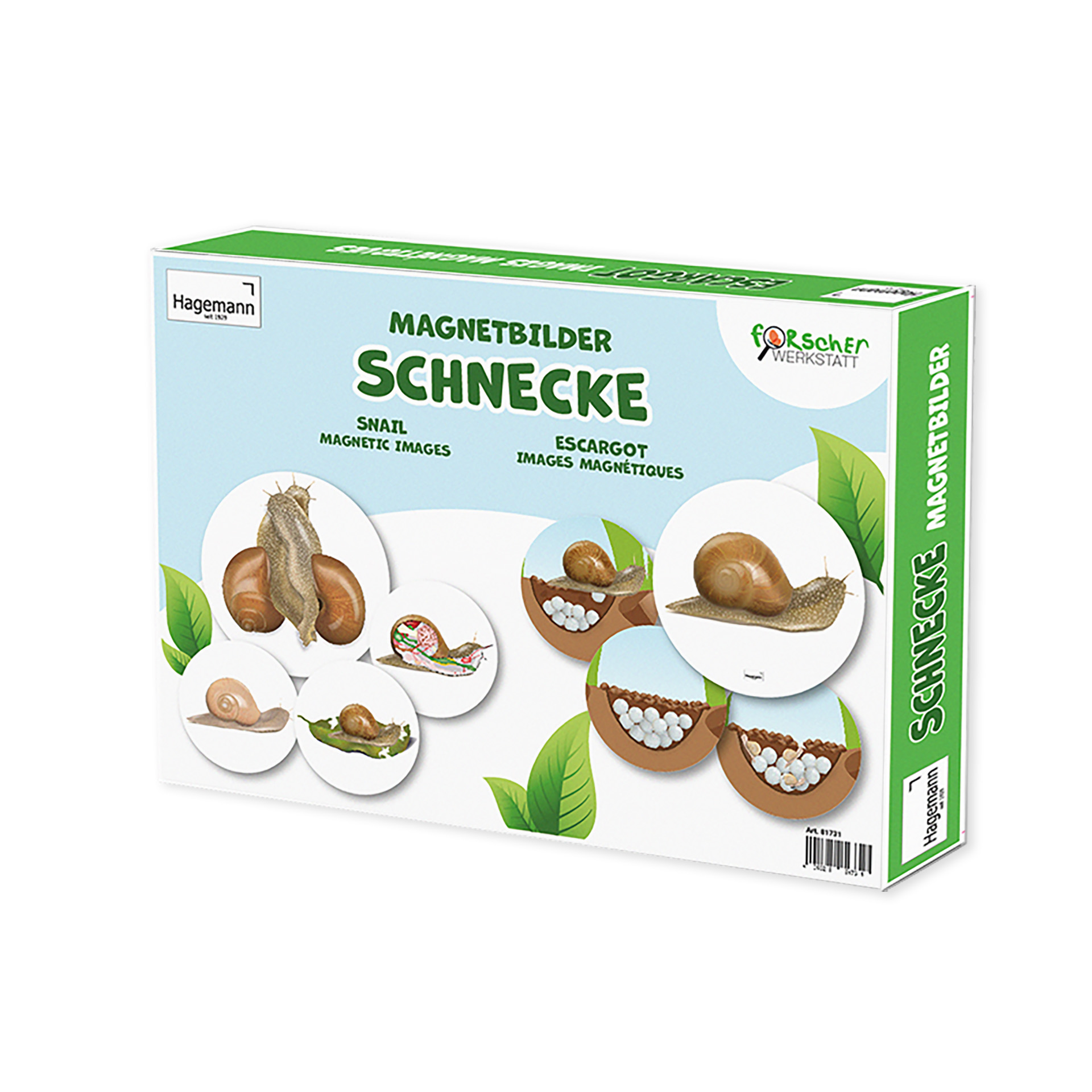Hagemann Magnetbilder Leben und Lebenszyklus der Schnecke
