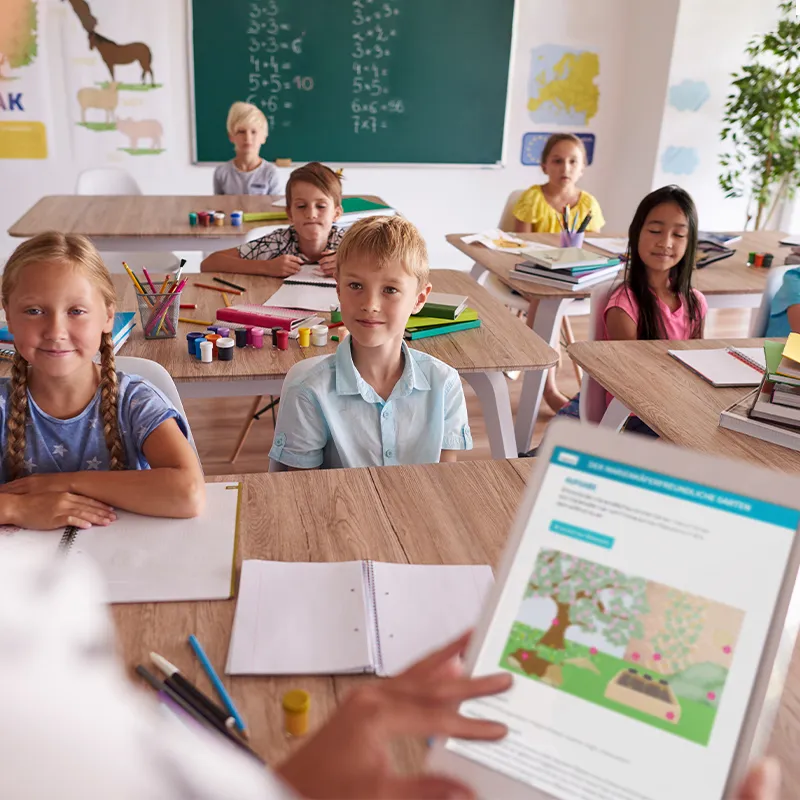 Hagemann Gruppenprojektset Marienkäfer (30-45 Larven)