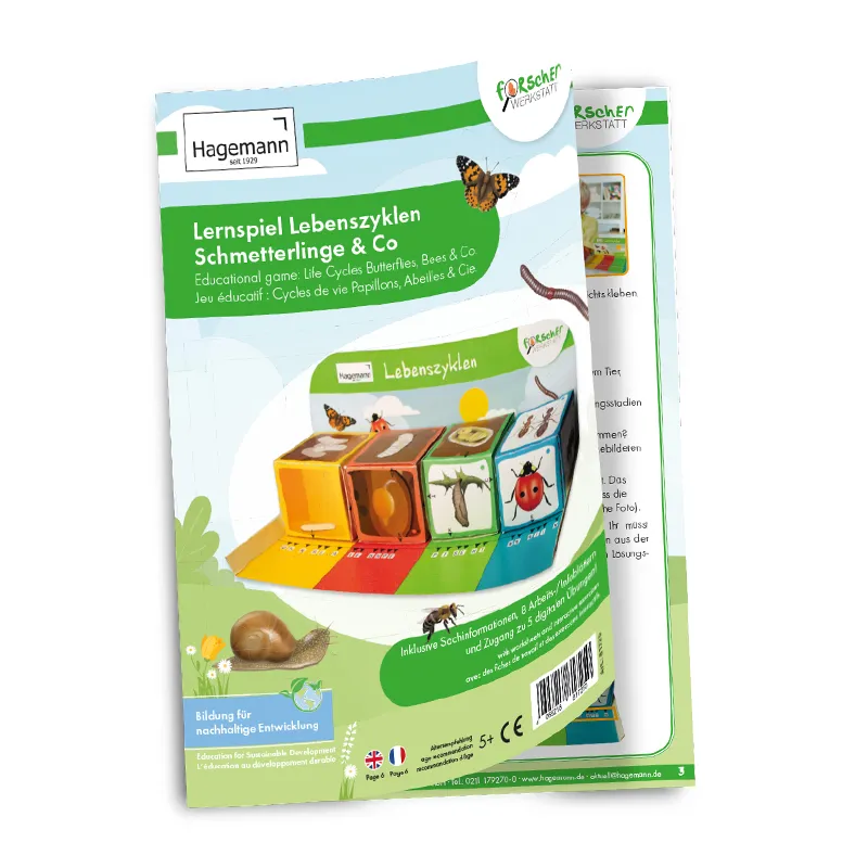 Hagemann Lernspiel-Würfel "Lebenszyklus Schmetterlinge & Co.", 5-tlg.