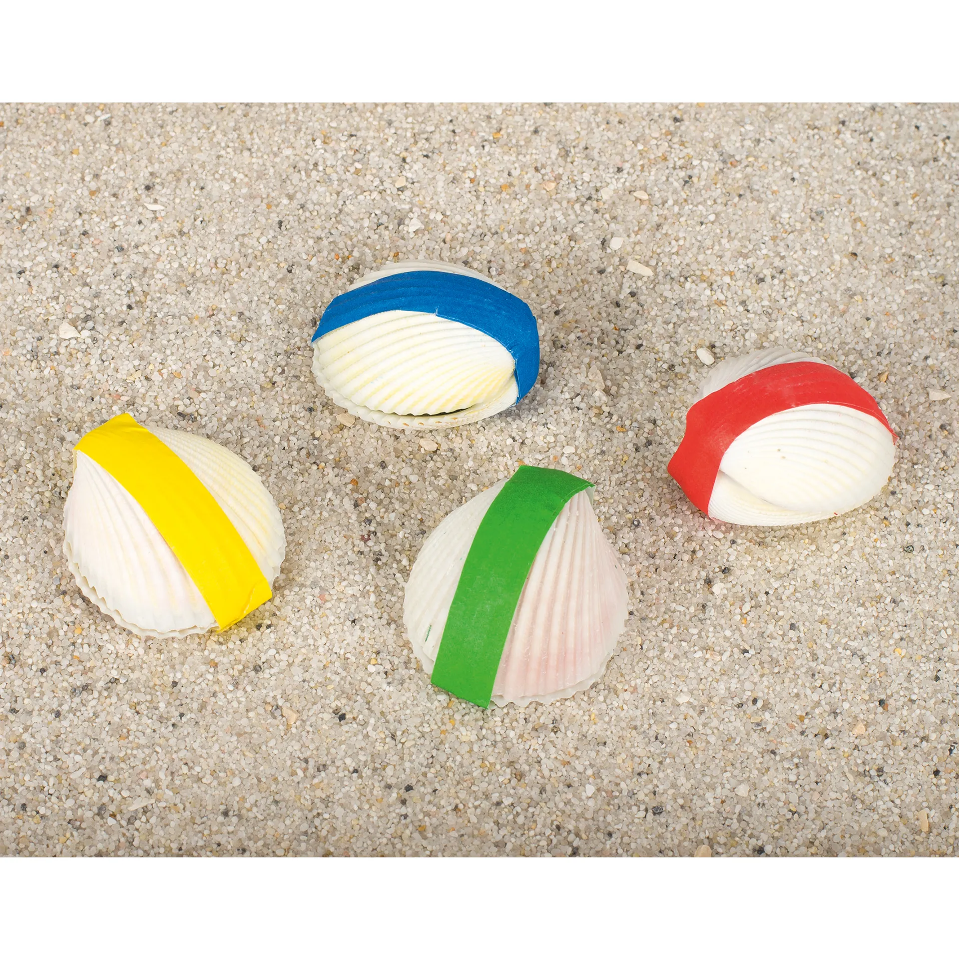 Wundermuschel mit Koralle