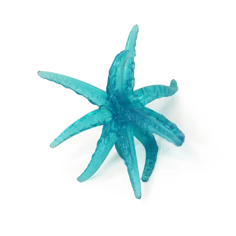 Fensterkrabbler Seestern