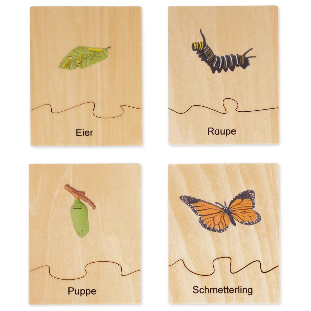 TimeTEX Lebenszyklus eines Schmetterlings, in Holzbox "Montessori Premium"