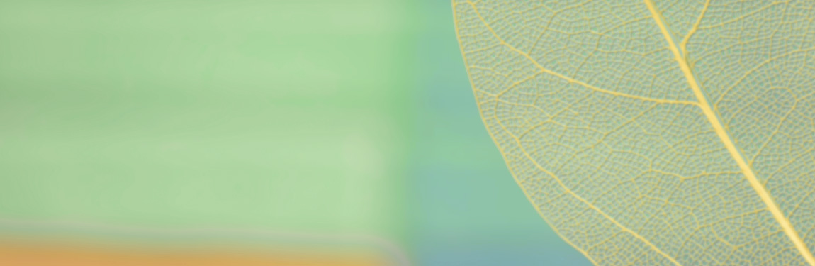 Hagemann_banner_newsletter