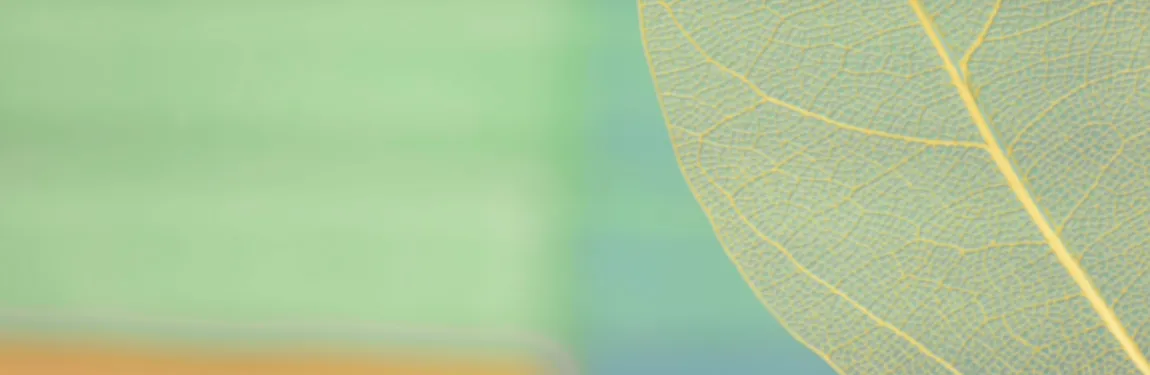 Hagemann_banner_newsletter