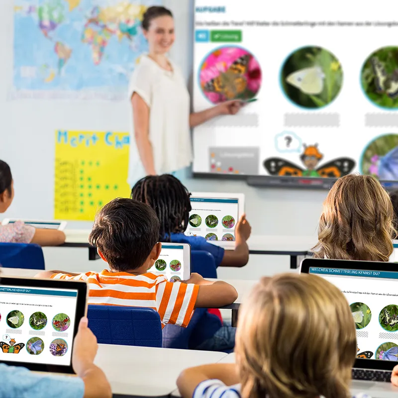 Didaktische DVD Die wunderbare Welt der Schmetterlinge (tabletfähig)