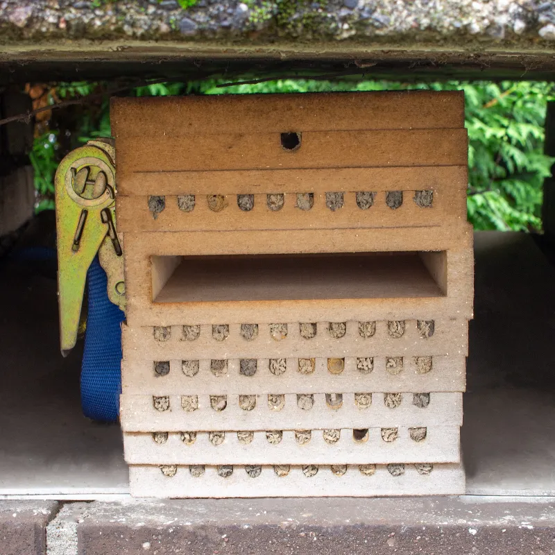 Hagemann Pädagogischer Nistblock mit Beobachtungsschublade