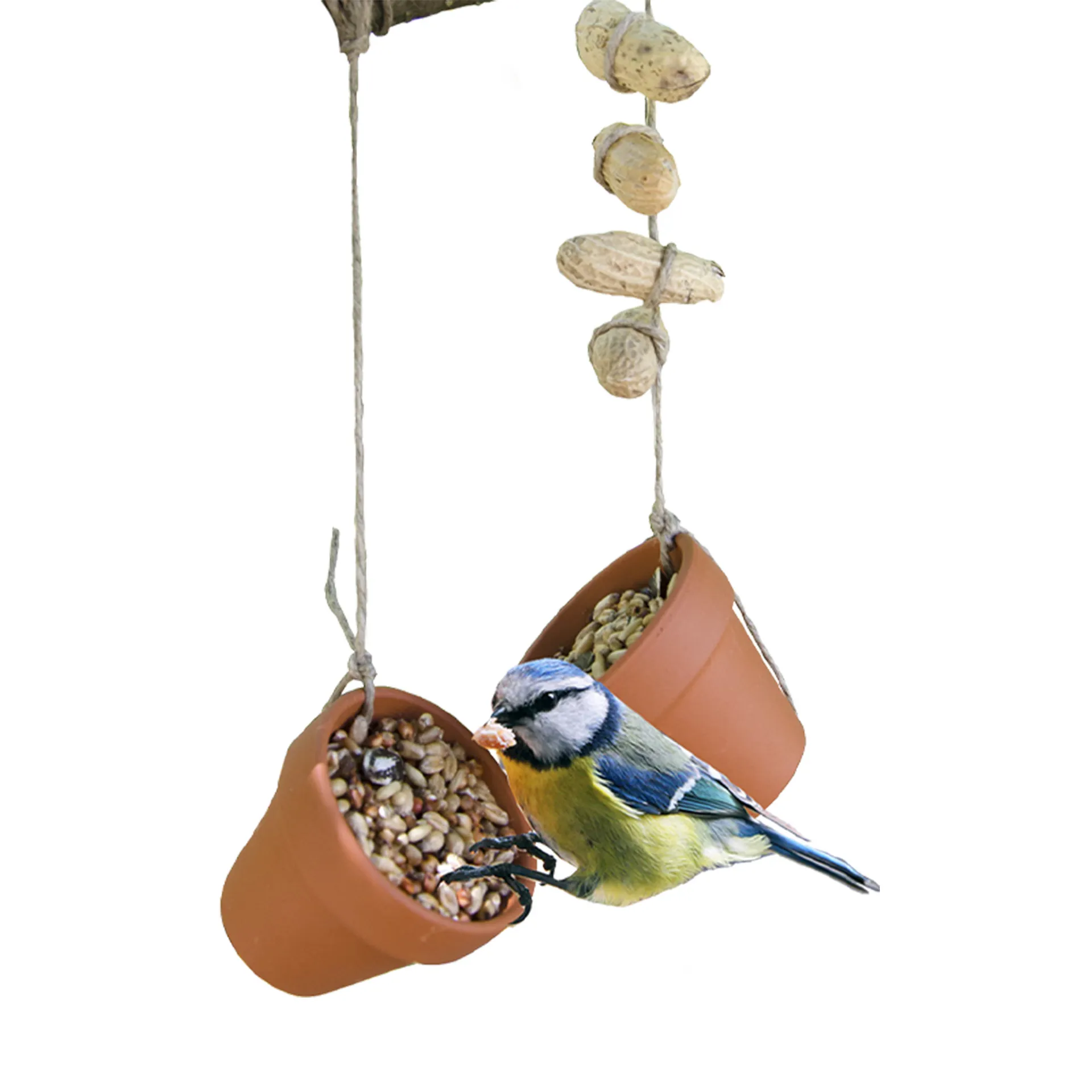 Vogelfutter Bastelset (Klassensatz)