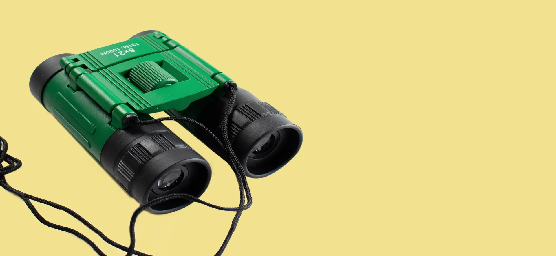 Kategorie_Forscher_357_165