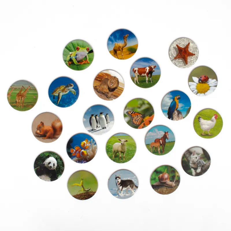 Lernspiel Tierwelten entdecken und klassifizieren