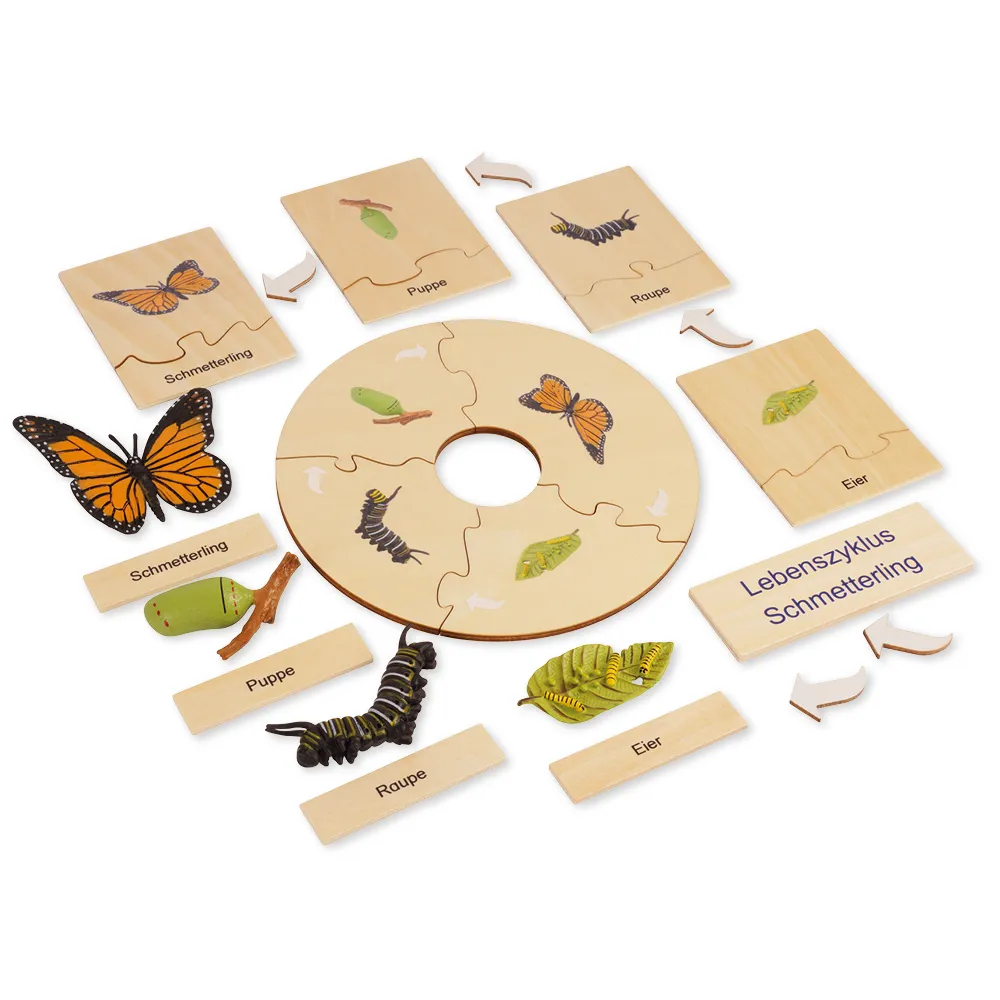 TimeTEX Lebenszyklus eines Schmetterlings, in Holzbox "Montessori Premium"