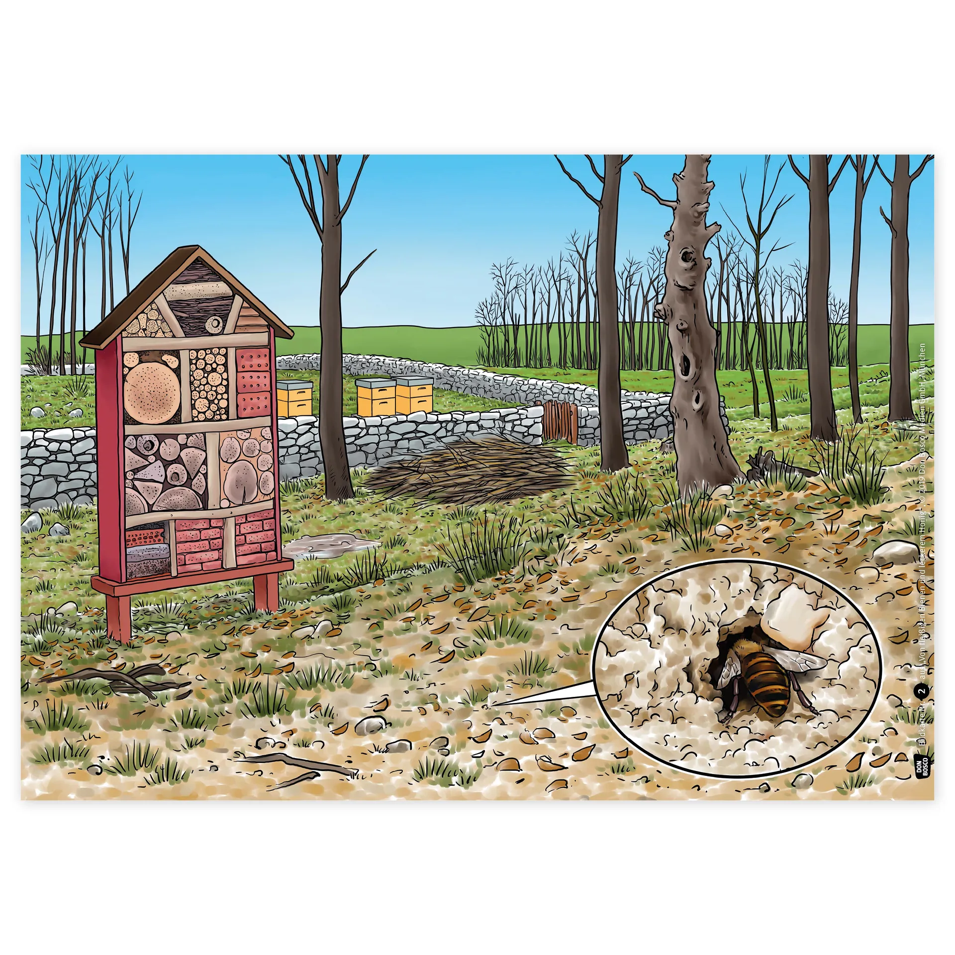 Bildergeschichten-Karten "Von fleißigen Bienen und leckerem Honig", 12-tlg.