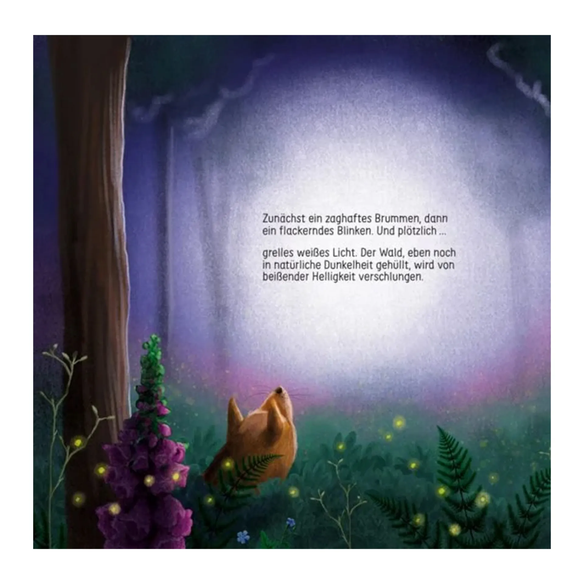 Finn Fledermaus und das Blenden in der Nacht