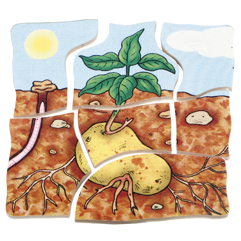 beleduc Schichten-Puzzle "Kartoffel", 30-tlg.