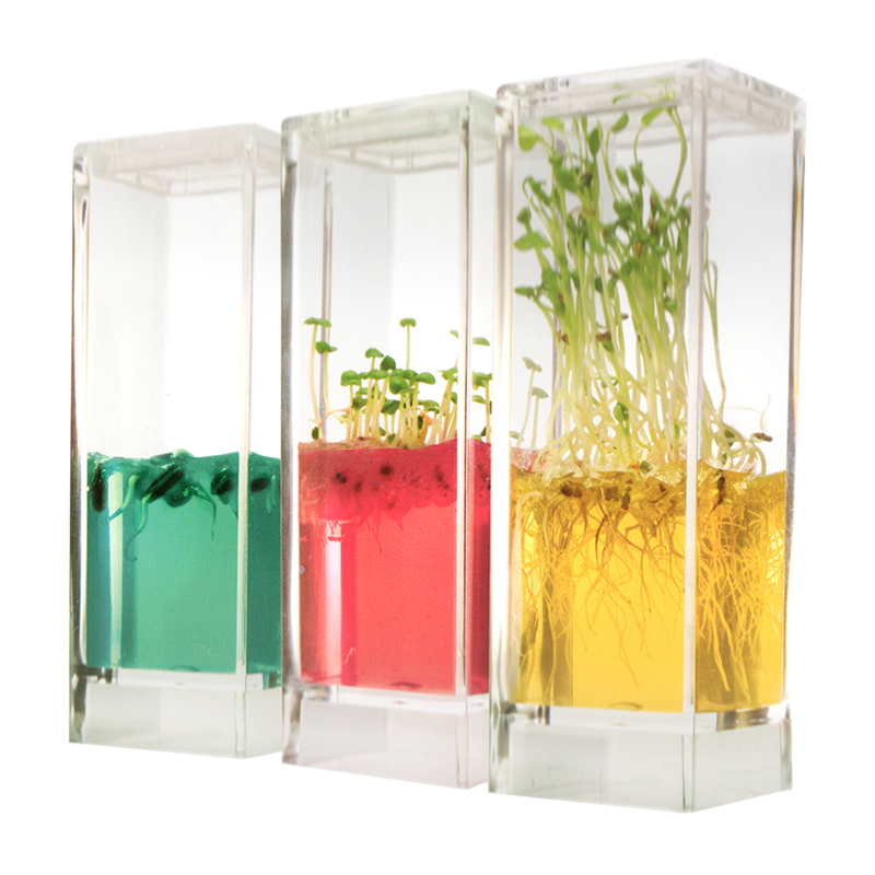 Pflanzen-Keimstation