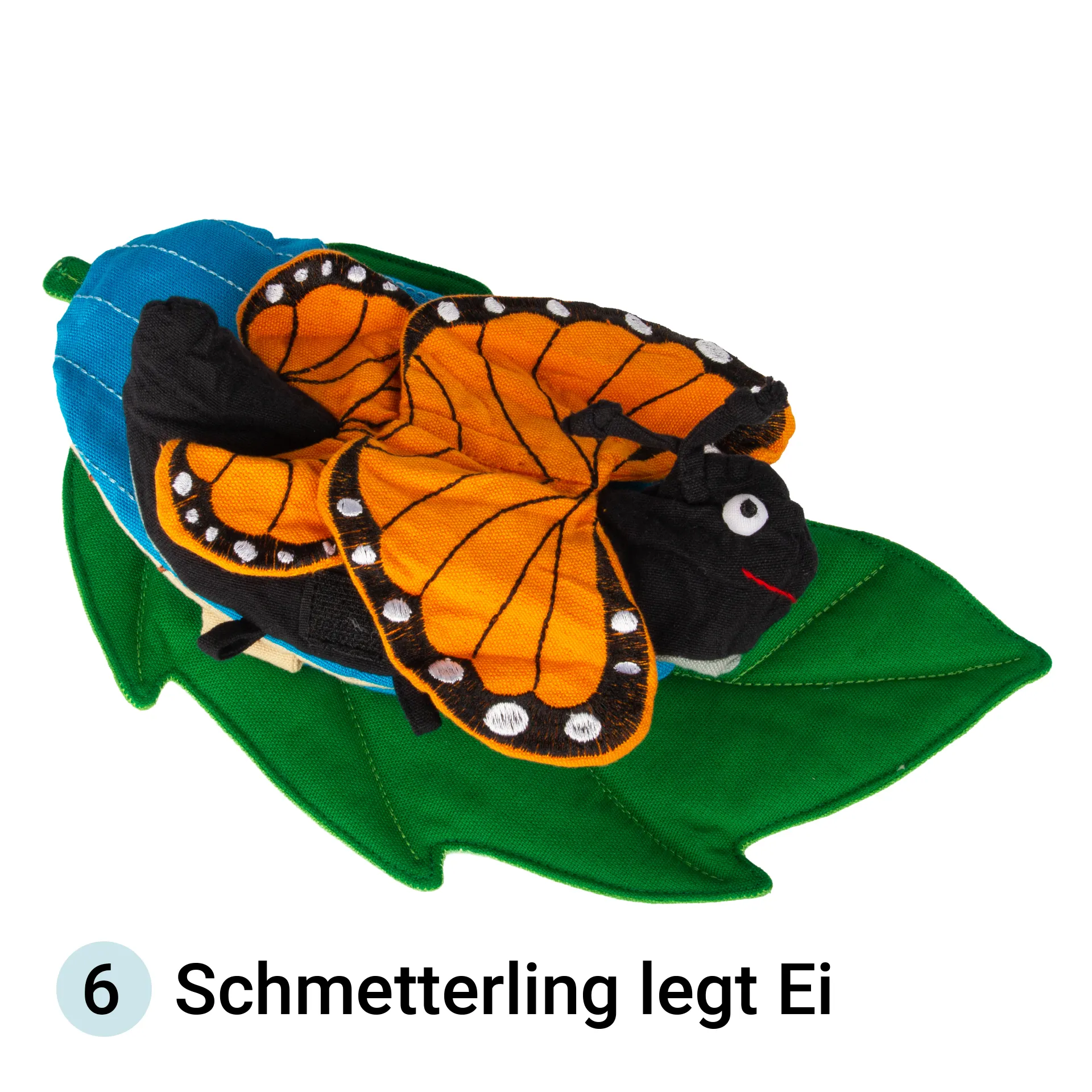 Stoffmodell Lebenszyklus Schmetterling (3-tlg.)