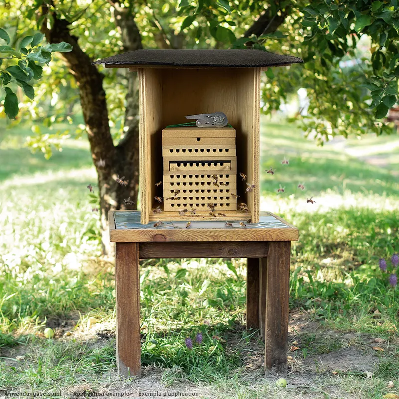 Bienen- und Hummellockstoff