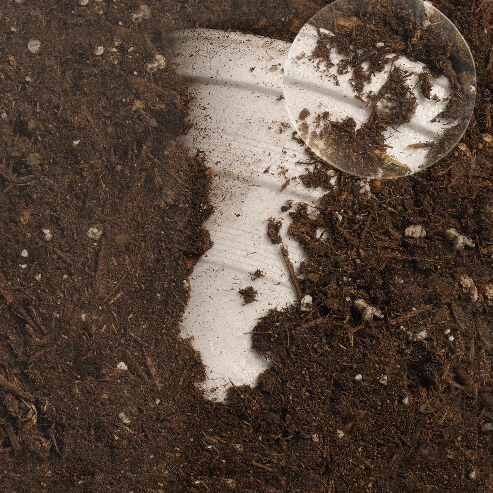 Beobachtungs-Komposter