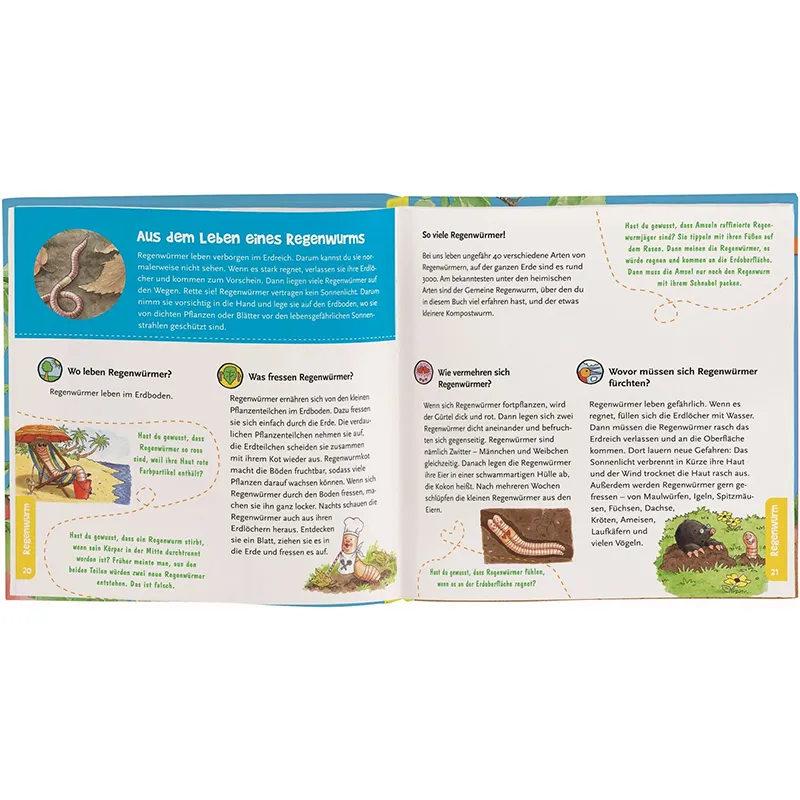 Mein erstes Becherlupen-Buch