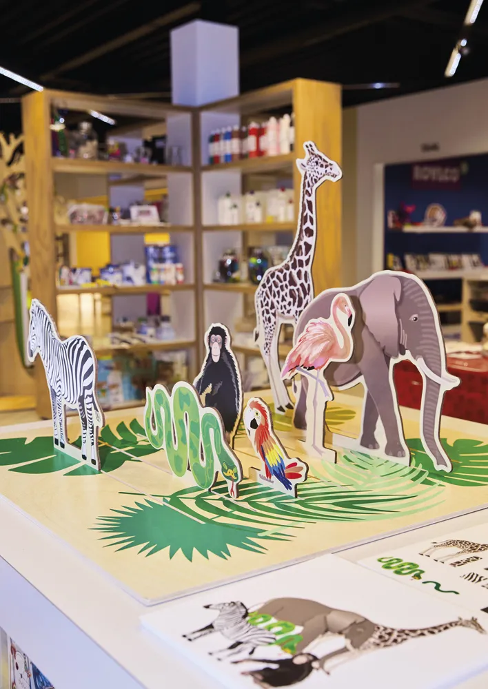 Lernspiel "Blick in den Dschungel", 16-tlg.