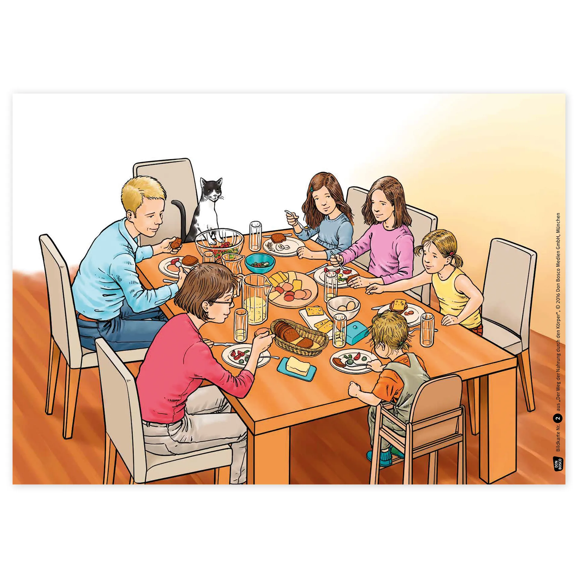 Bildergeschichten-Karten "Der Weg der Nahrung durch den Körper", 12-tlg.