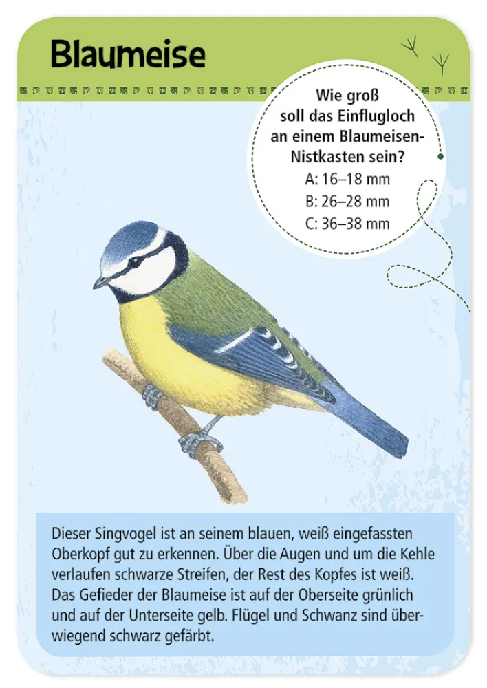 50 Heimische Vögel entdecken und bestimmen