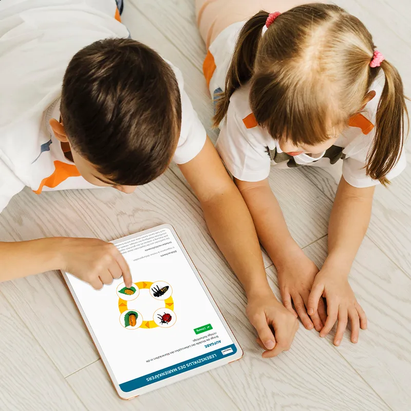 Hagemann Marienkäfer Zuchtset (mit Gutschein, 10-15 Larven)