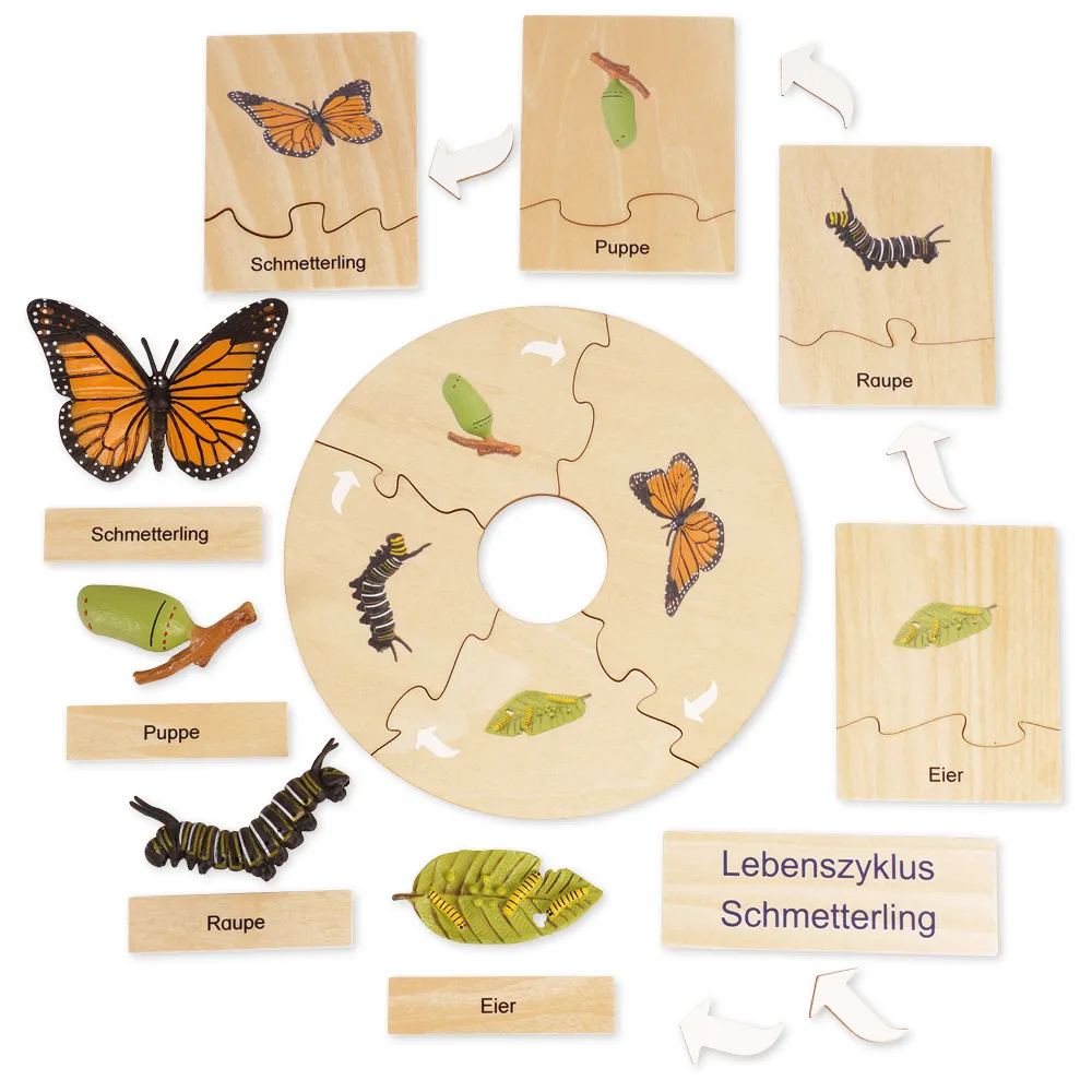 TimeTEX Lebenszyklus eines Schmetterlings, in Holzbox "Montessori Premium"