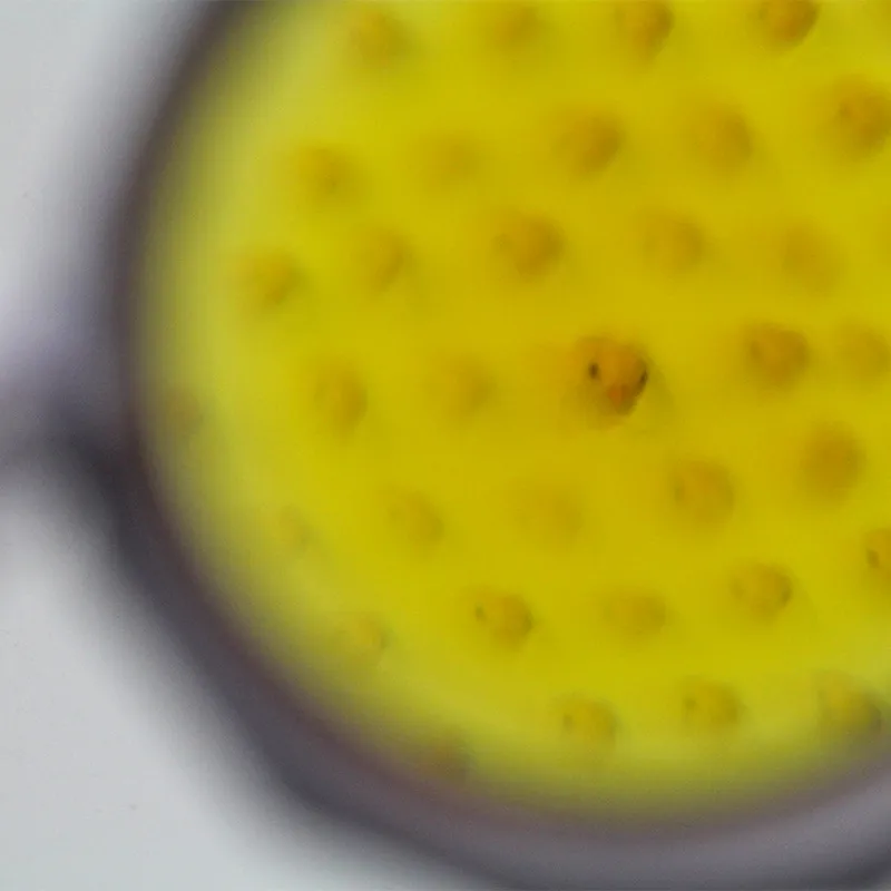 Facettenlinsen-Brille