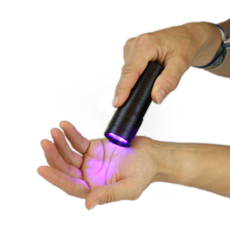 Experimentierbox Hygiene und Krankheitsübertragung