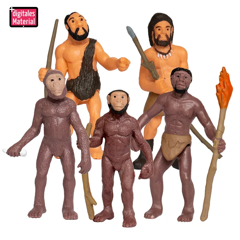 Hagemann Entwicklung des Menschen (Evolution, Modelle), 5-tlg.