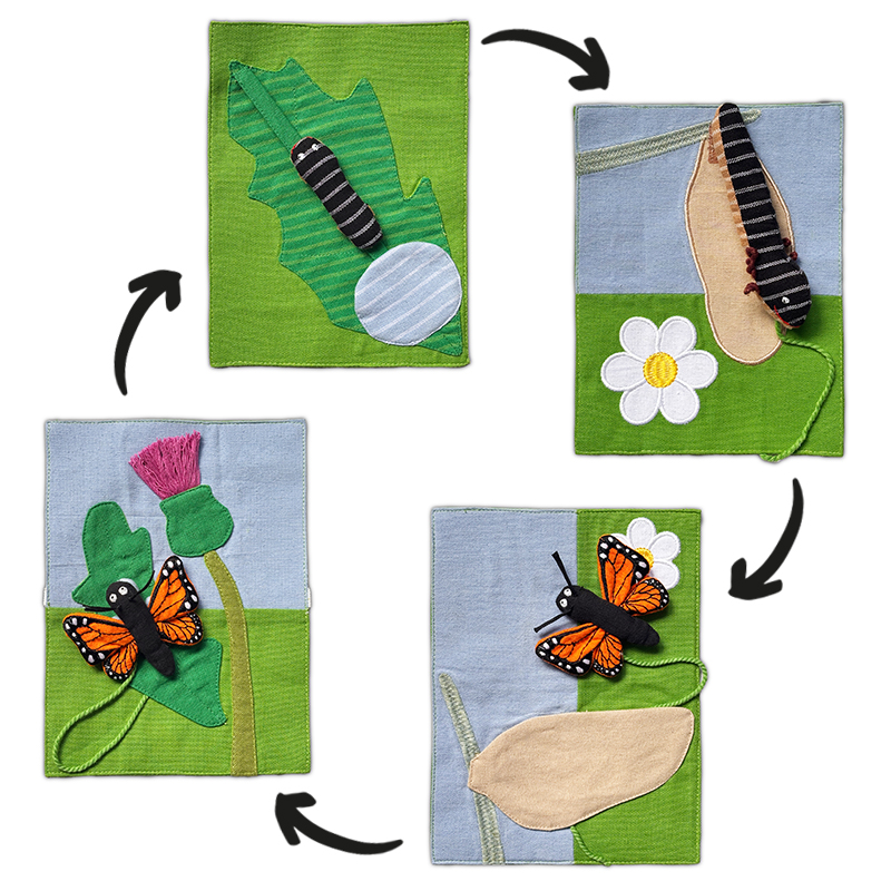 Hagemann Stoffkarten Lebenszyklusmodell Schmetterling