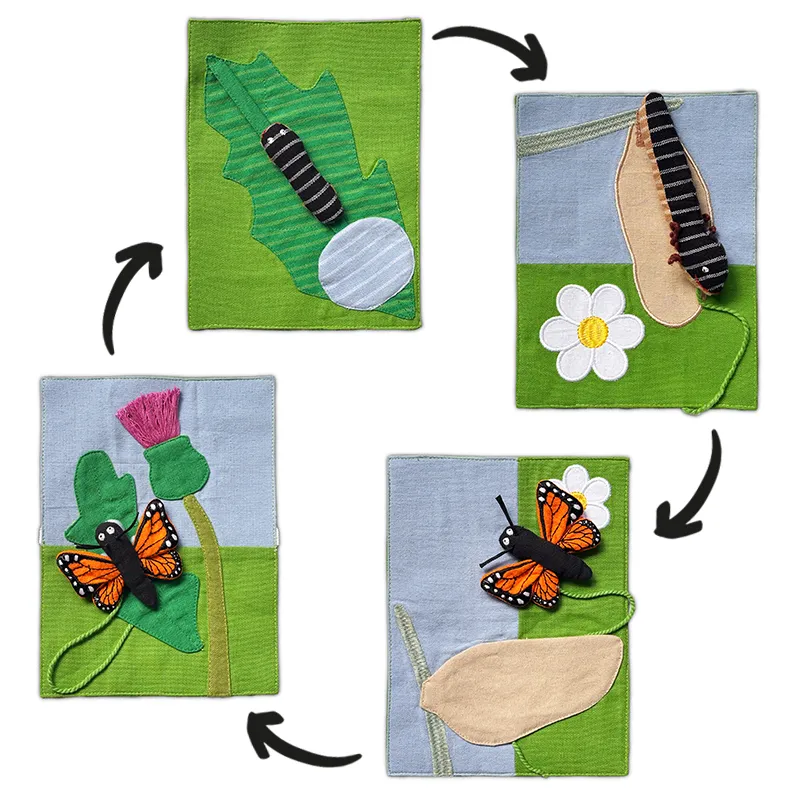 Hagemann Stoffkarten Lebenszyklusmodell Schmetterling