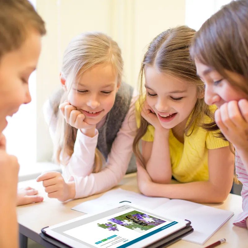 Hagemann Zuchtset Wildbienen, Gehörnte Mauerbiene (mit Gutschein, 50 Kokons)