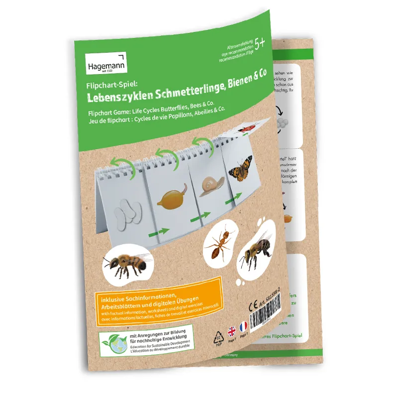 Hagemann Flipchart-Spiel Lebenszyklus Schmetterlinge, Bienen & Co
