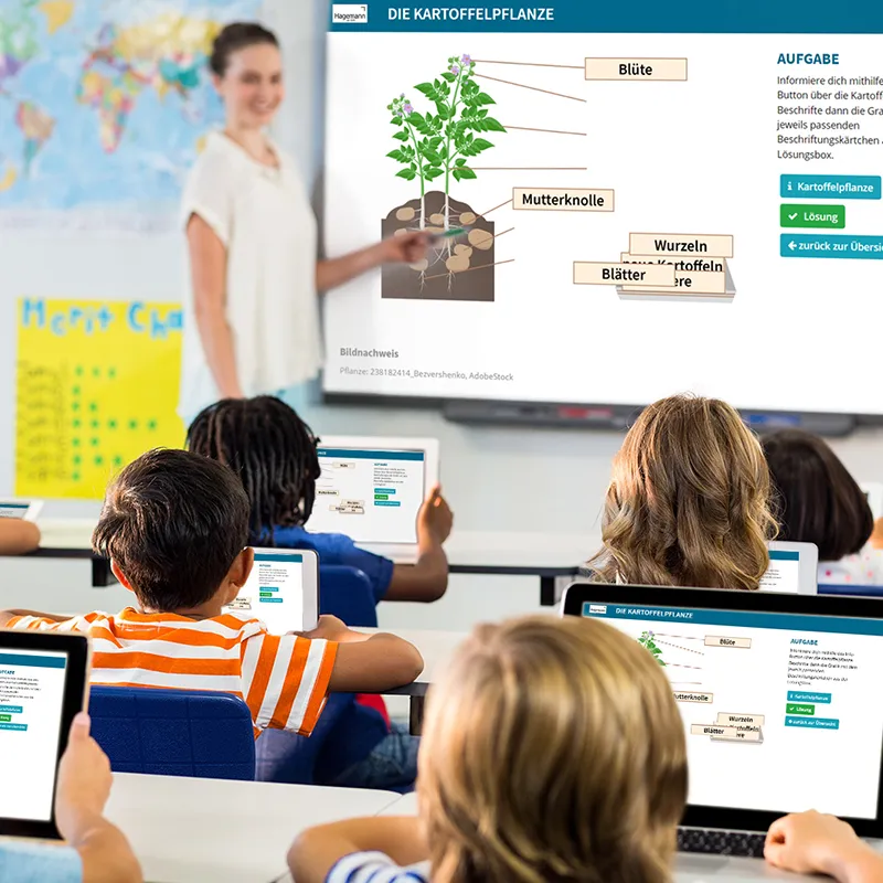 Hagemann Kartoffel Anzucht- und Beobachtungstopf