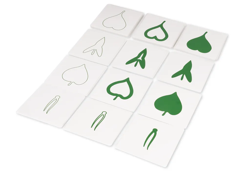TimeTEX Botanischer Kartensatz "Montessori Premium"