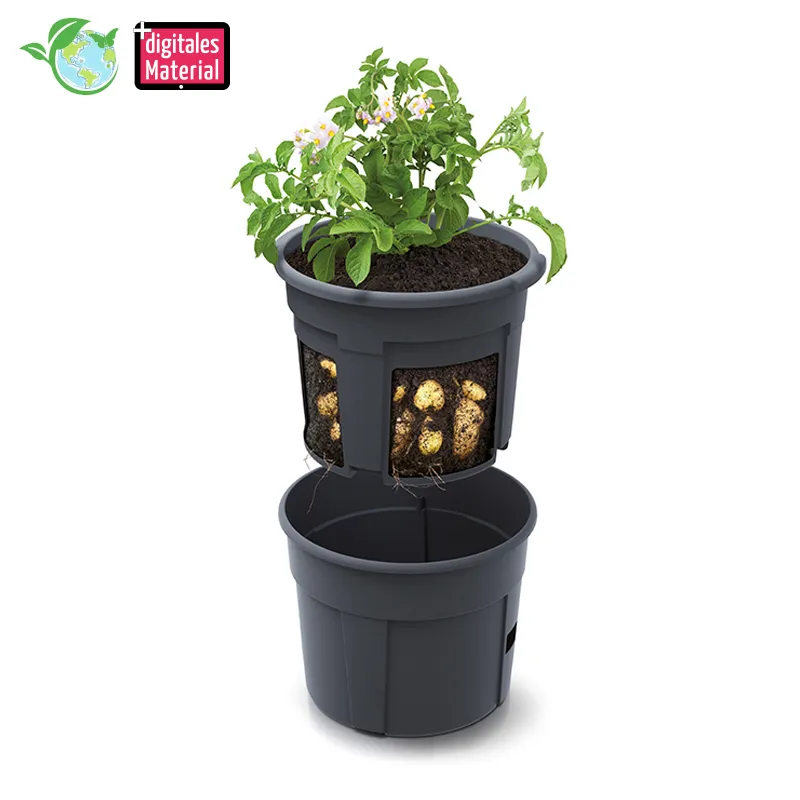 Hagemann Kartoffel Anzucht- und Beobachtungstopf