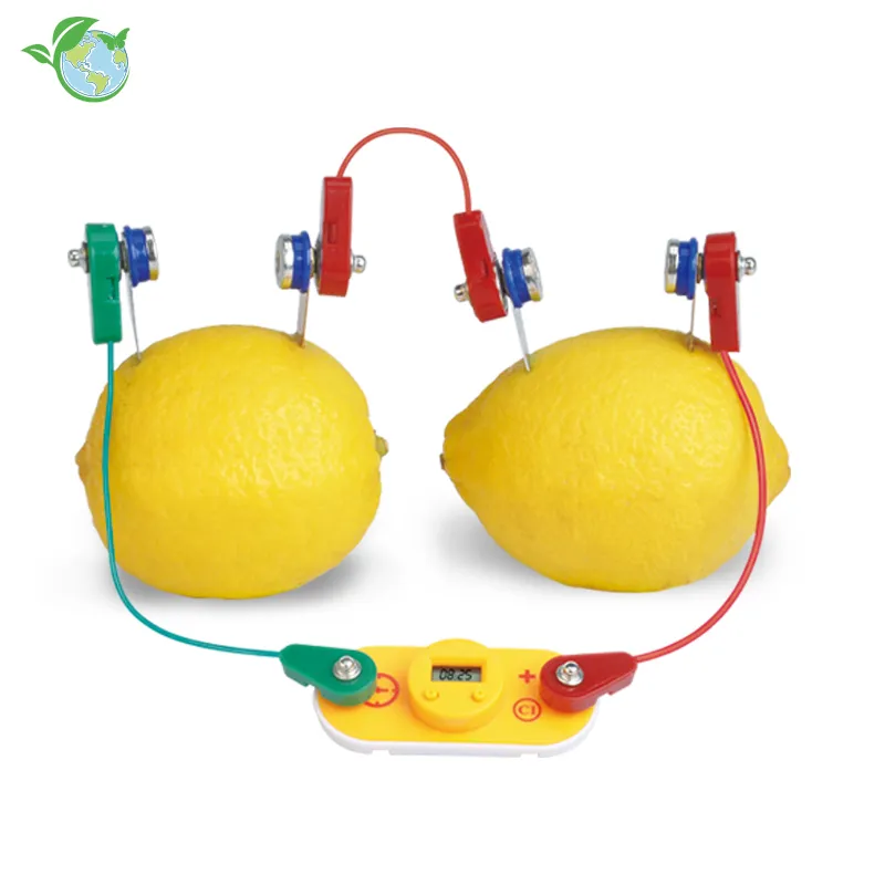 Hagemann Zitronen-Batterie Experimentierset für Kinder