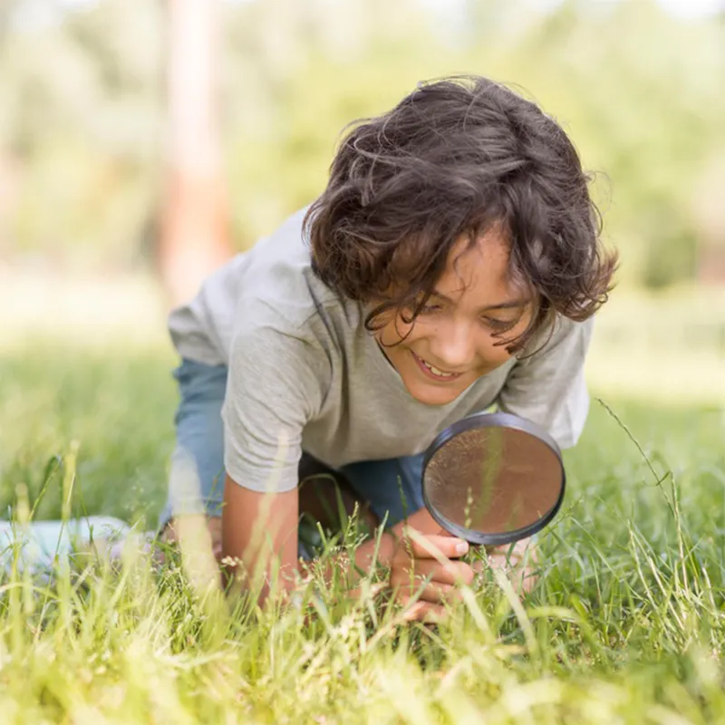 Ameisen Beobachtungsset, 8-tlg.